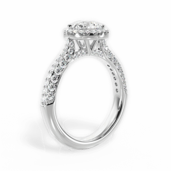 Shambh's Luna Promise Halo Ring