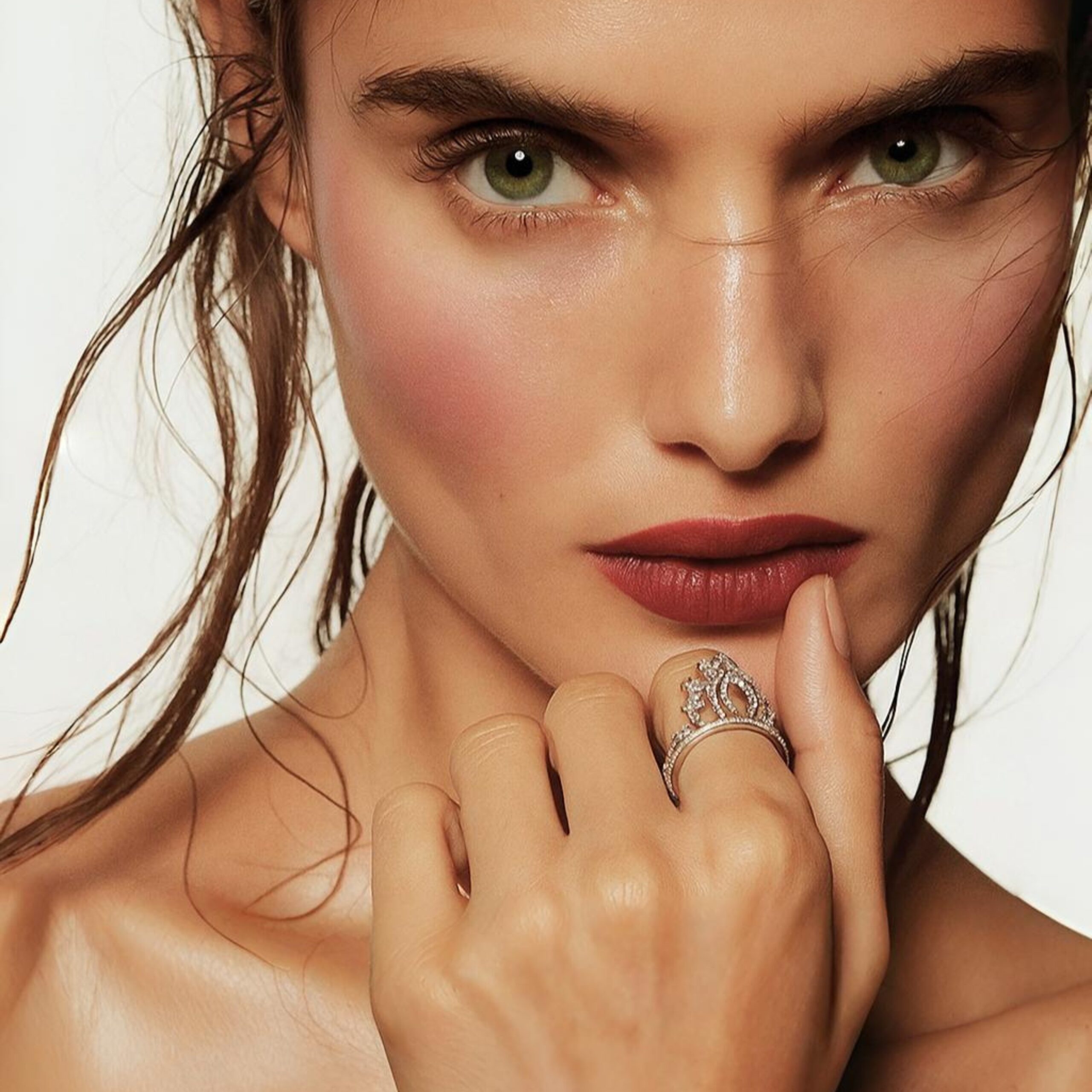 B2B SHAMBH Ring Model